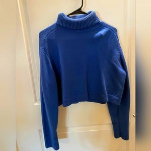 Zara Blue Turtle Neck